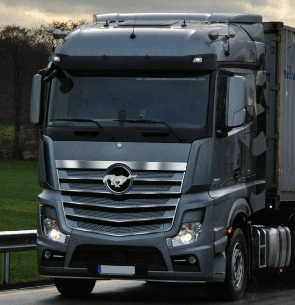 len2 Лента за декорация "Maniac-Chrome" 10mm - 10м