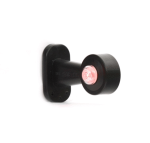 Дясно право рогче